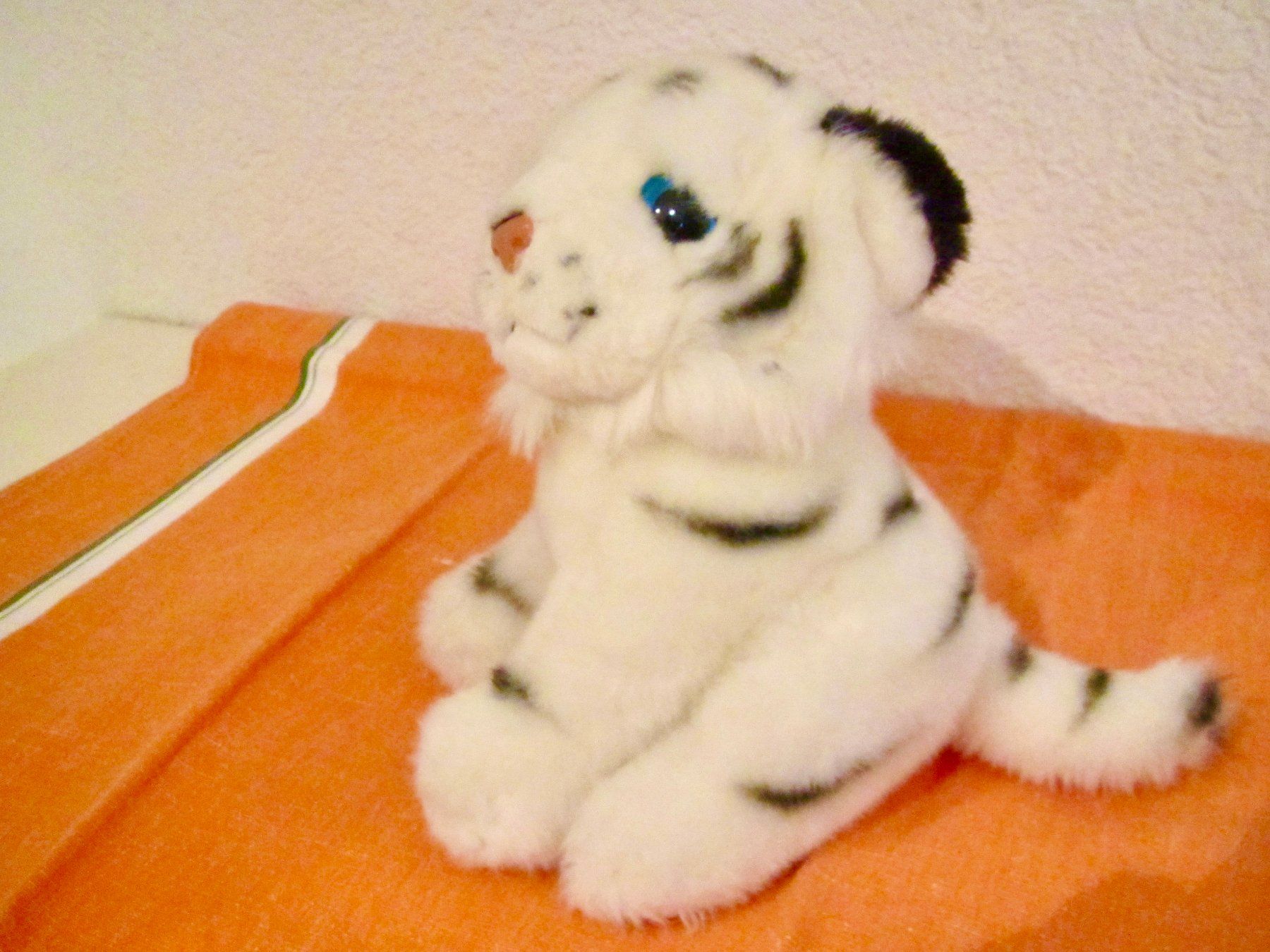 Giocattoli: TIGRE BLANC – Usato da Murten venduto da Selliot 1