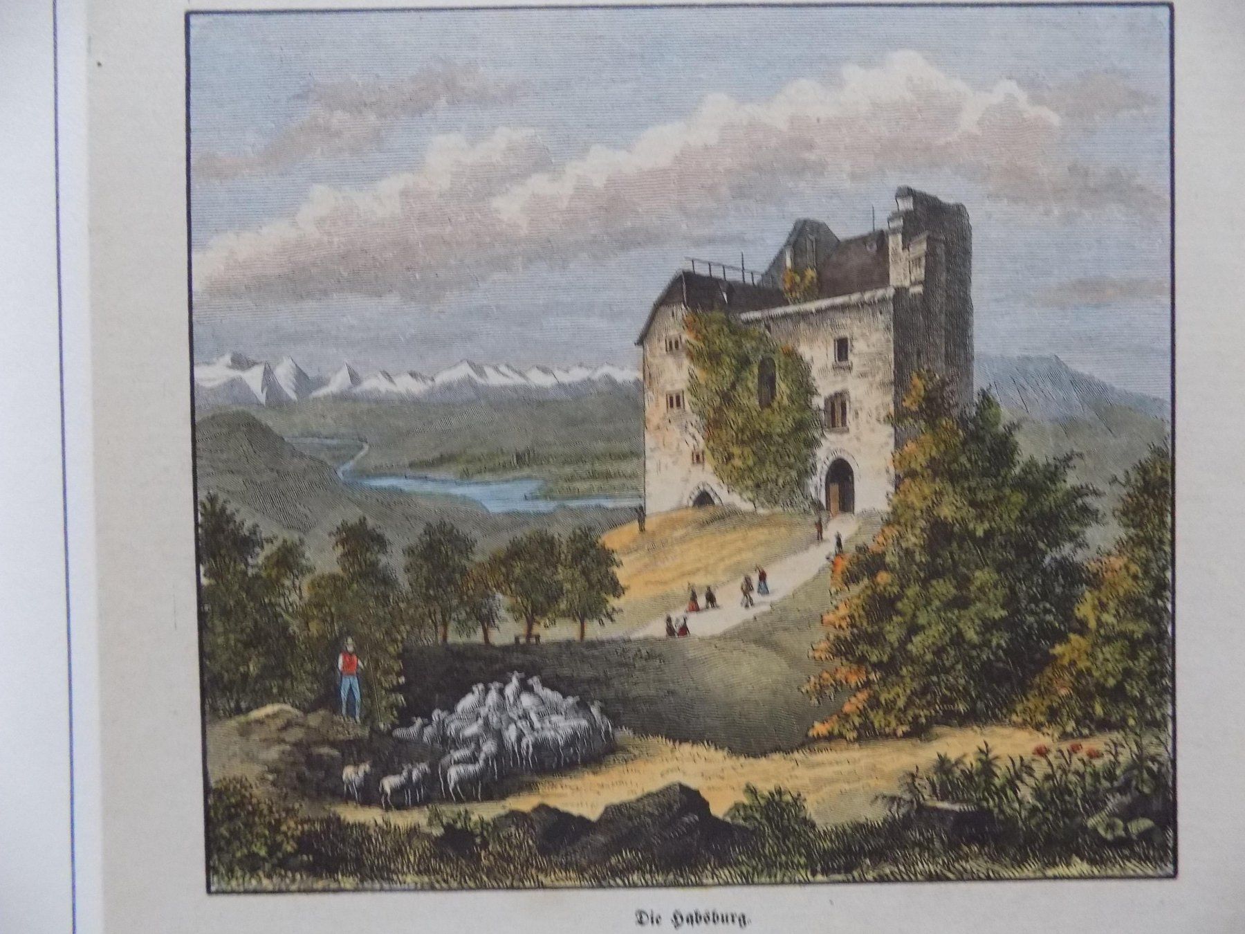 Incisioni: Habsburg Ruine vom Schloss – Usato da Risch venduto da Antikfee 2
