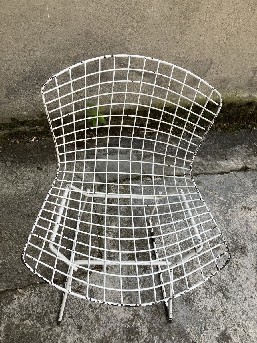 Sedie: Harry Bertoia Vintage Stuhl – Usato da fribourg venduto da Retroverso 3