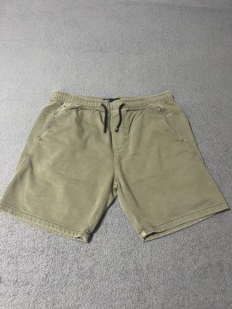 Zara Shorts
