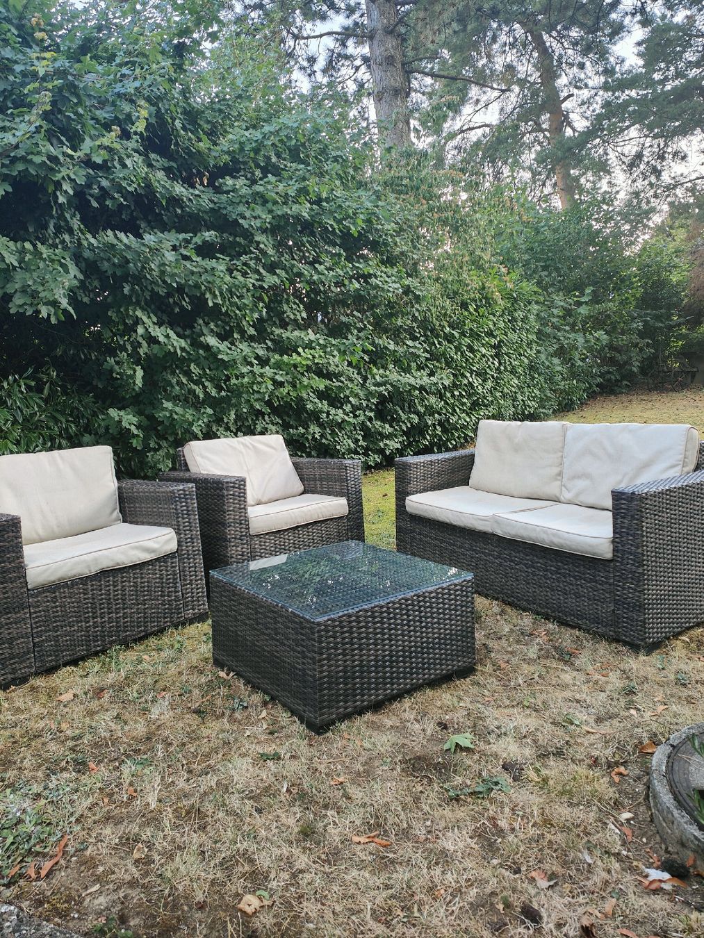 Poltrone: Gartenlounge / Rattanlounge – Usato da Niederbipp venduto da she_f5l7 1