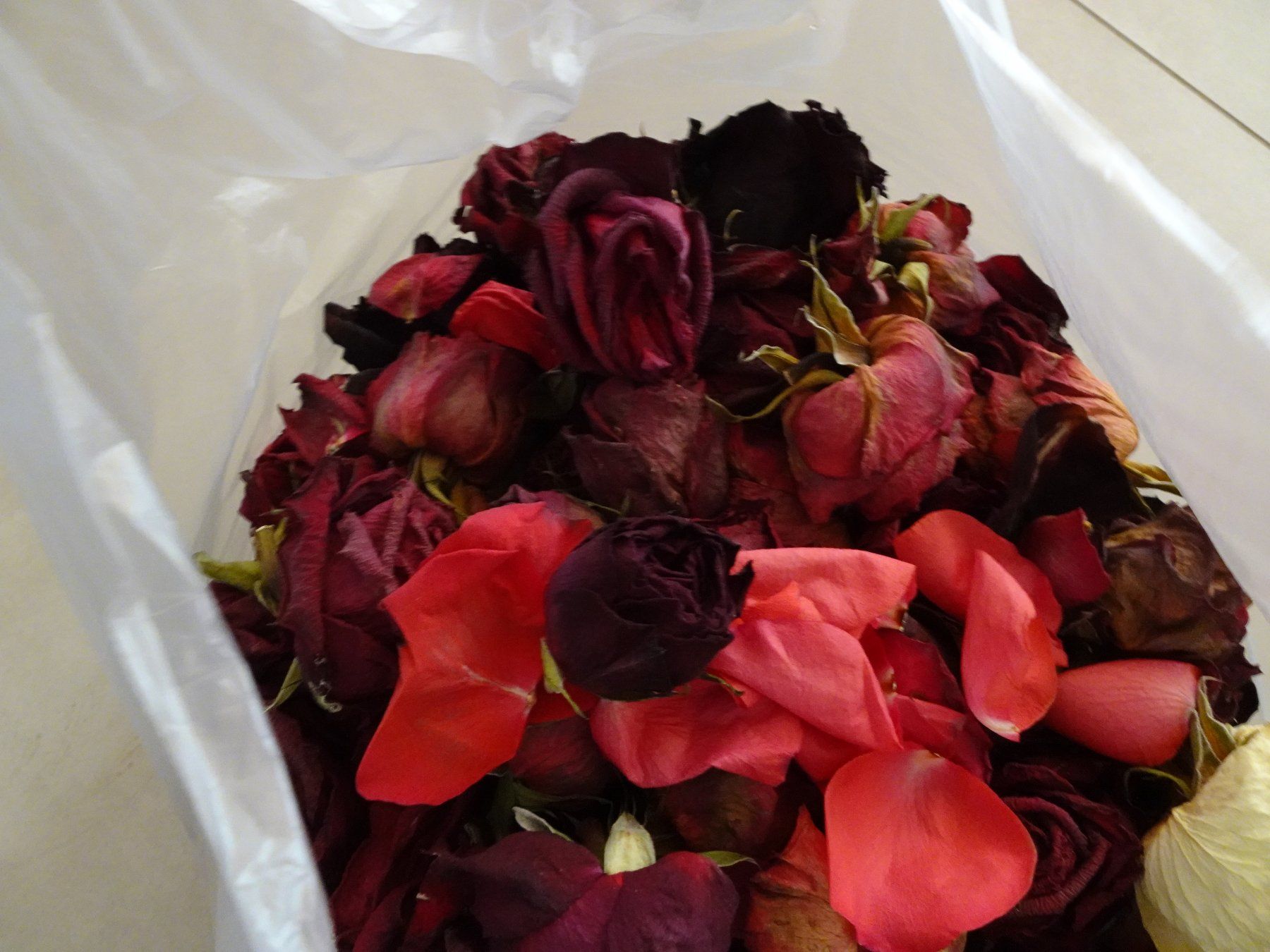Alle Dekorationen: 637 Gramm echte, getrocknete Rosen-Köpfe - 250819 – Gebraucht aus Küssnacht am Rigi von Good4Deckeli 4
