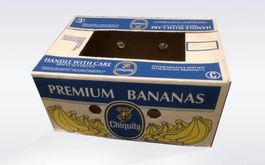 Bananenschachteln / Umzugskarton 