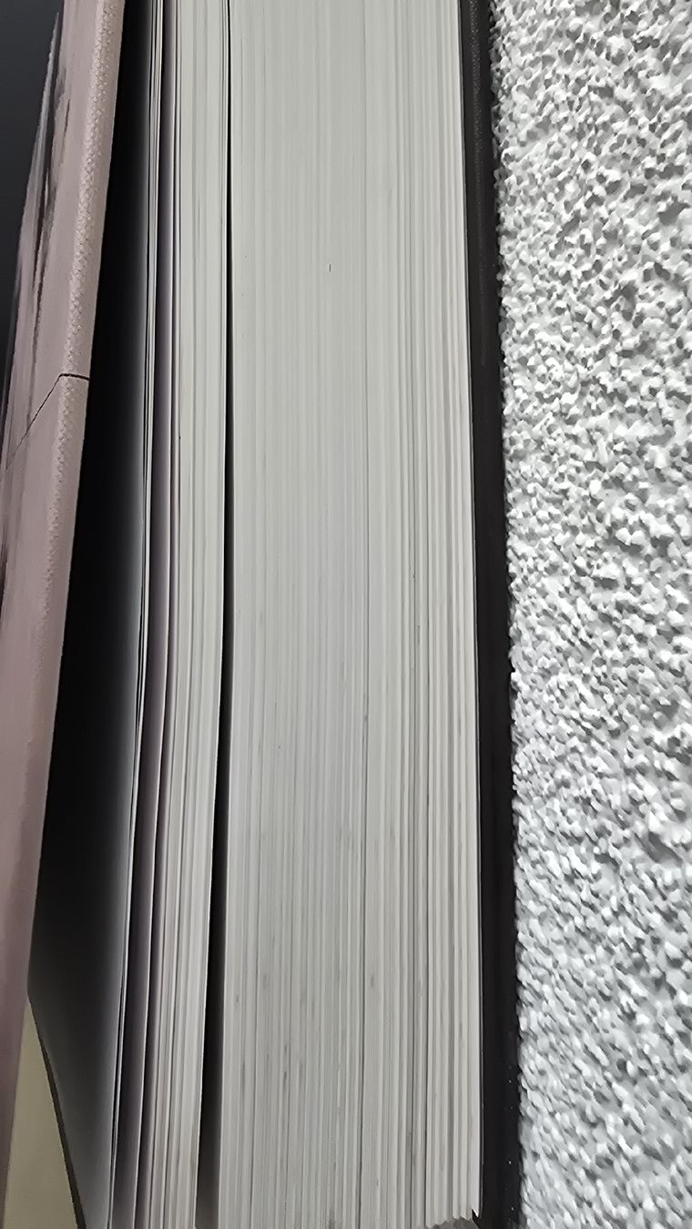 Libri: Phaidon Buch /Die Sammlung – Usato da wallisellen venduto da funkelsternchen5 3
