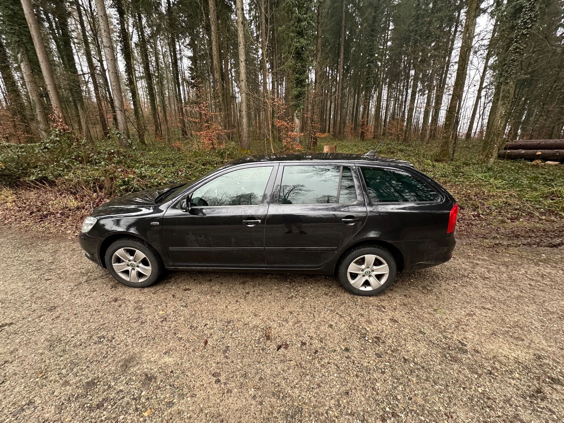 Skoda Automobili: ZU VERKAUFEN – Usato da Winterthur venduto da wor_5tlz 3