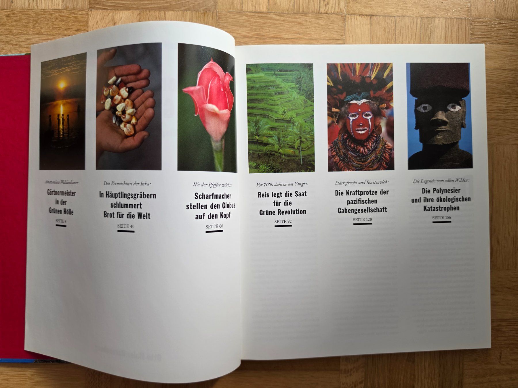 Libri: Reportagen aus dem Garten Eden – Usato da Stäfa venduto da flamingo_17 3