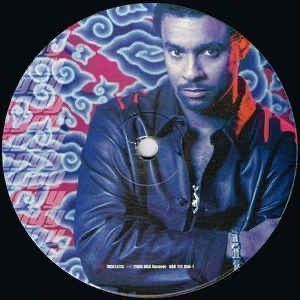 Dischi in vinile: Shaggy – Hot Shot – Nuovo (secondo la descrizione) da Genève venduto da jim.k 5