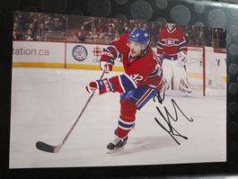 Mark Streit - 20x30 cm - persönlich gesammelt