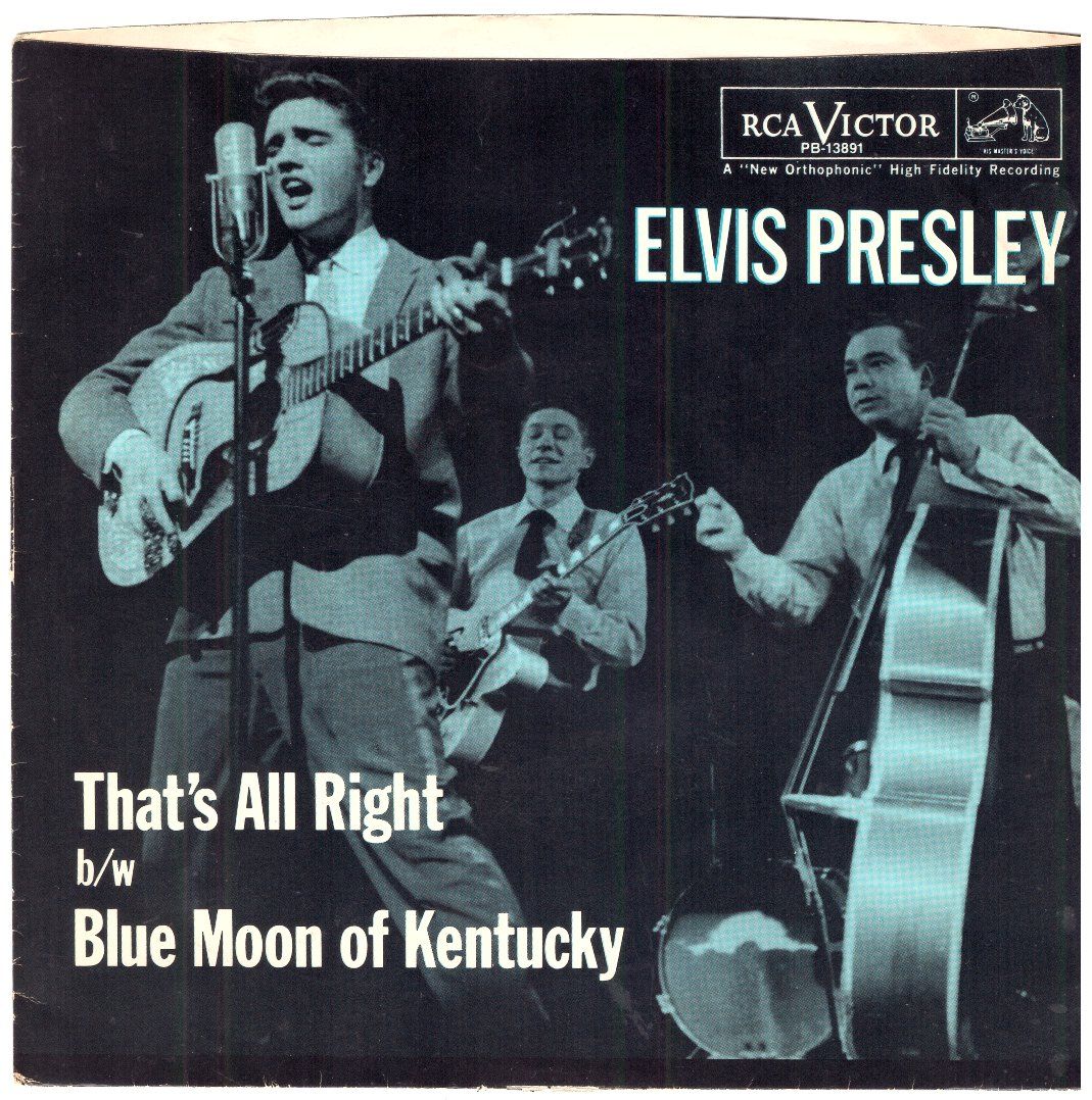 Dischi in vinile: ELVIS PRESLEY – Usato da Bassersdorf venduto da house-of-vinyl