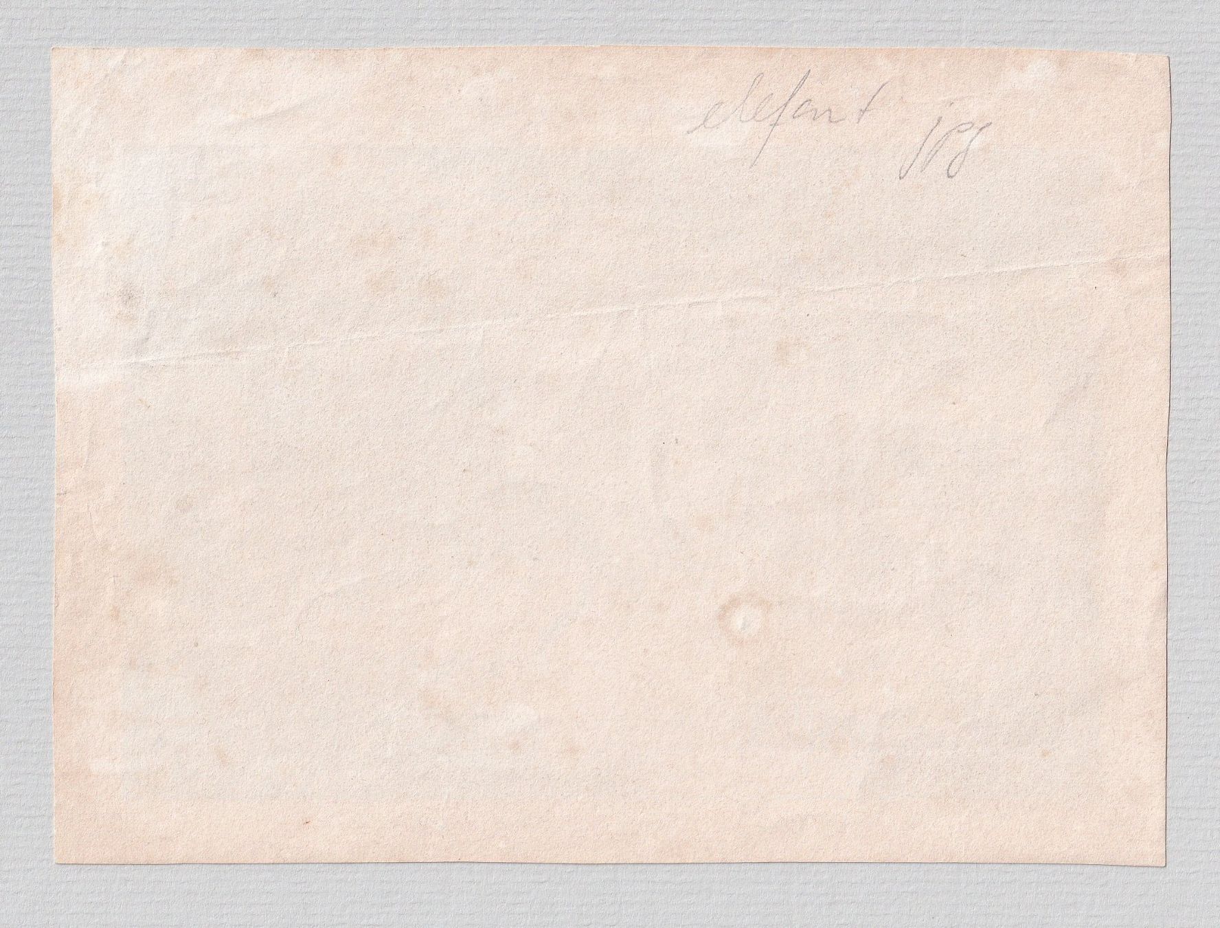 Gravures: ELEFANT, ELEFANTENJAGD, LITHOGRAPHIE 1847 – D'occasion à Grüningen par Kartensammler 4