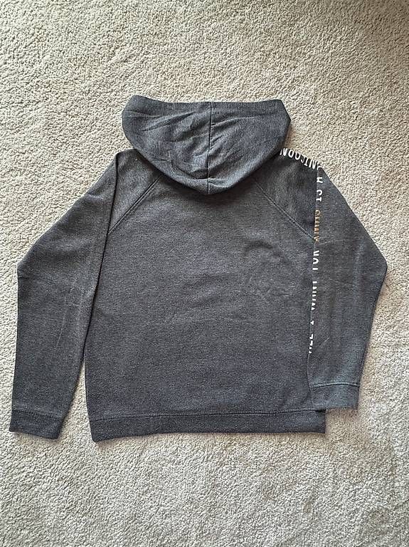 Pullover & Sweatshirts: Sweat à capuche gris Taille L – Gebraucht aus Bollion von cha_jm6h 1