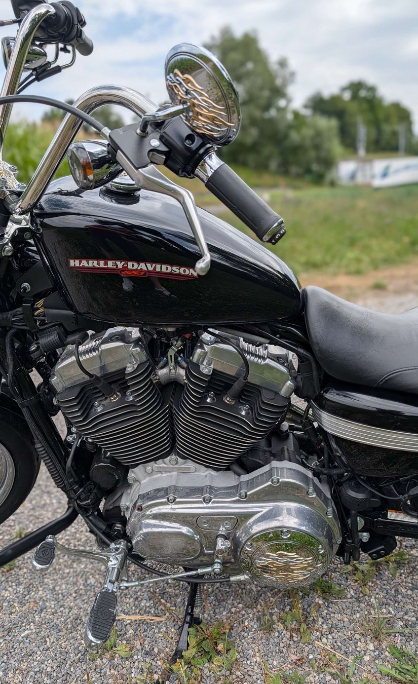 Harley-Davidson Chopper: Harley Davidson XL883 L, 2006 – Usato da Bonstetten venduto da mh2_d8k5 5