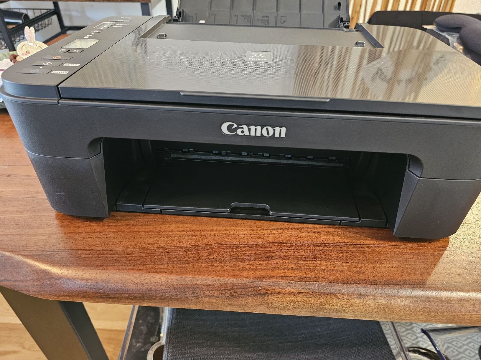 Canon Stampanti: Canon TS3150 - mit Tinte – Usato da Schlieren venduto da fabischn 1