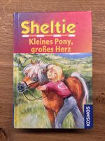 Sheltie Kleines Pony, grosses Herz