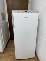 Tiefkühlschrank Bauknecht