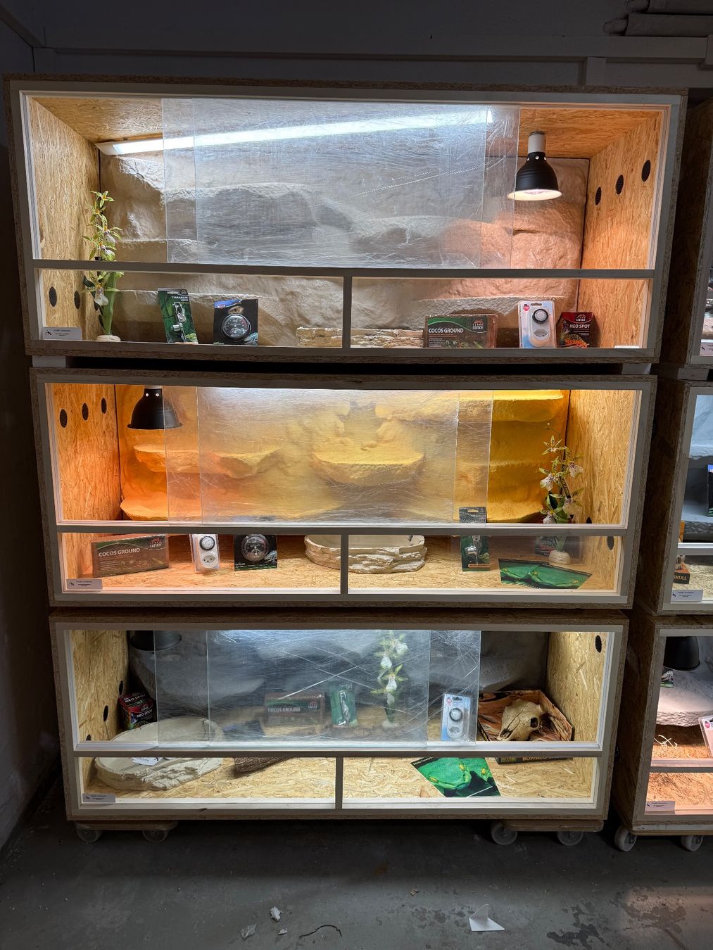 Terrarium: Terrarien komplett eingerichtet – Neu (gemäss Beschreibung) aus Arch von terrarienbau 2