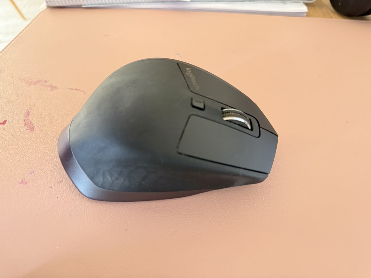 Logitech Mouse: Logitech - Souris MX Master – Usato da Belmont-Lausanne venduto da Michelle_Srdr_ 4