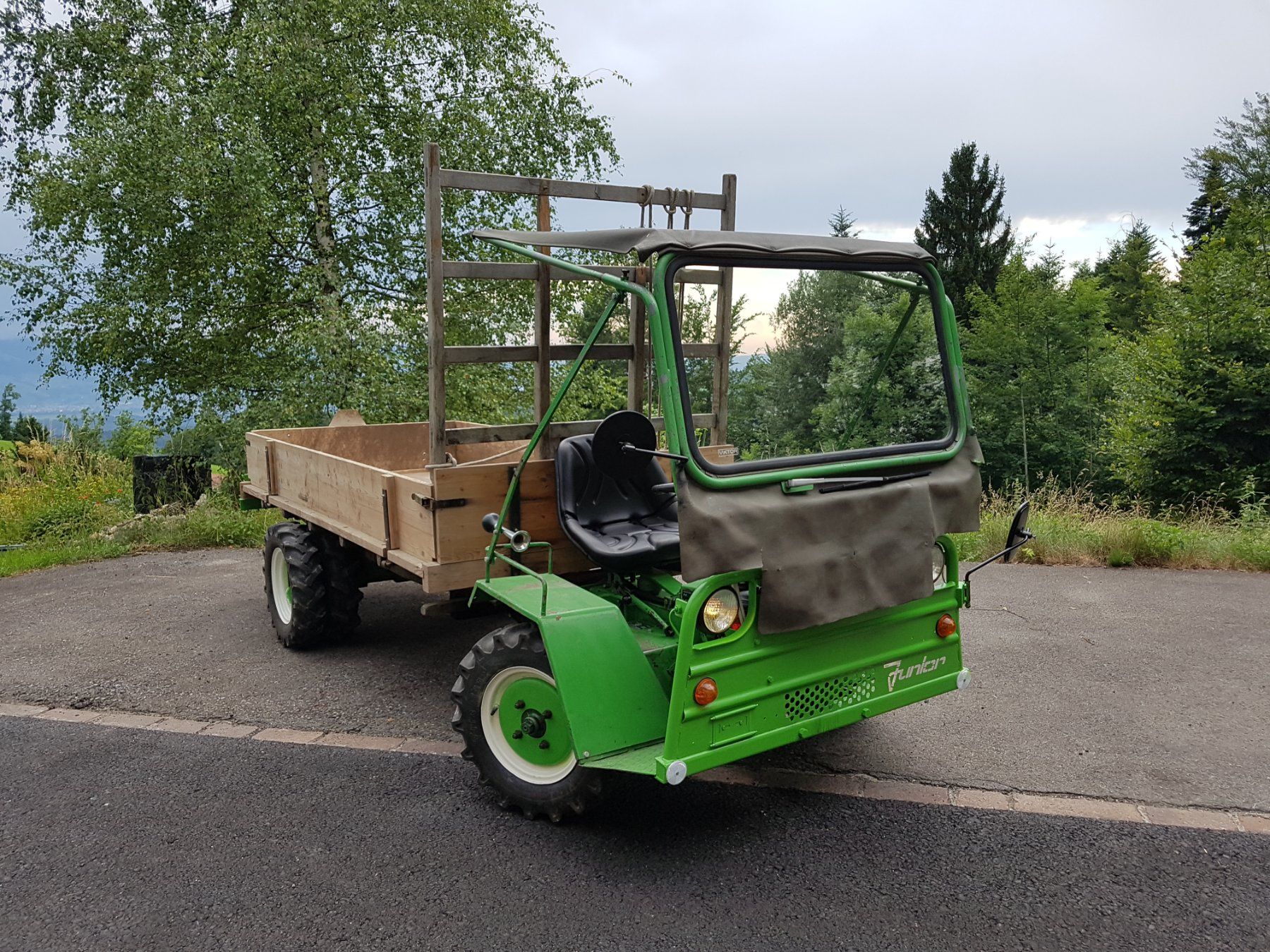 Schilter Trattori: Schilter Junior 1966 – Usato da Steg im Tösstal venduto da LARO14 1