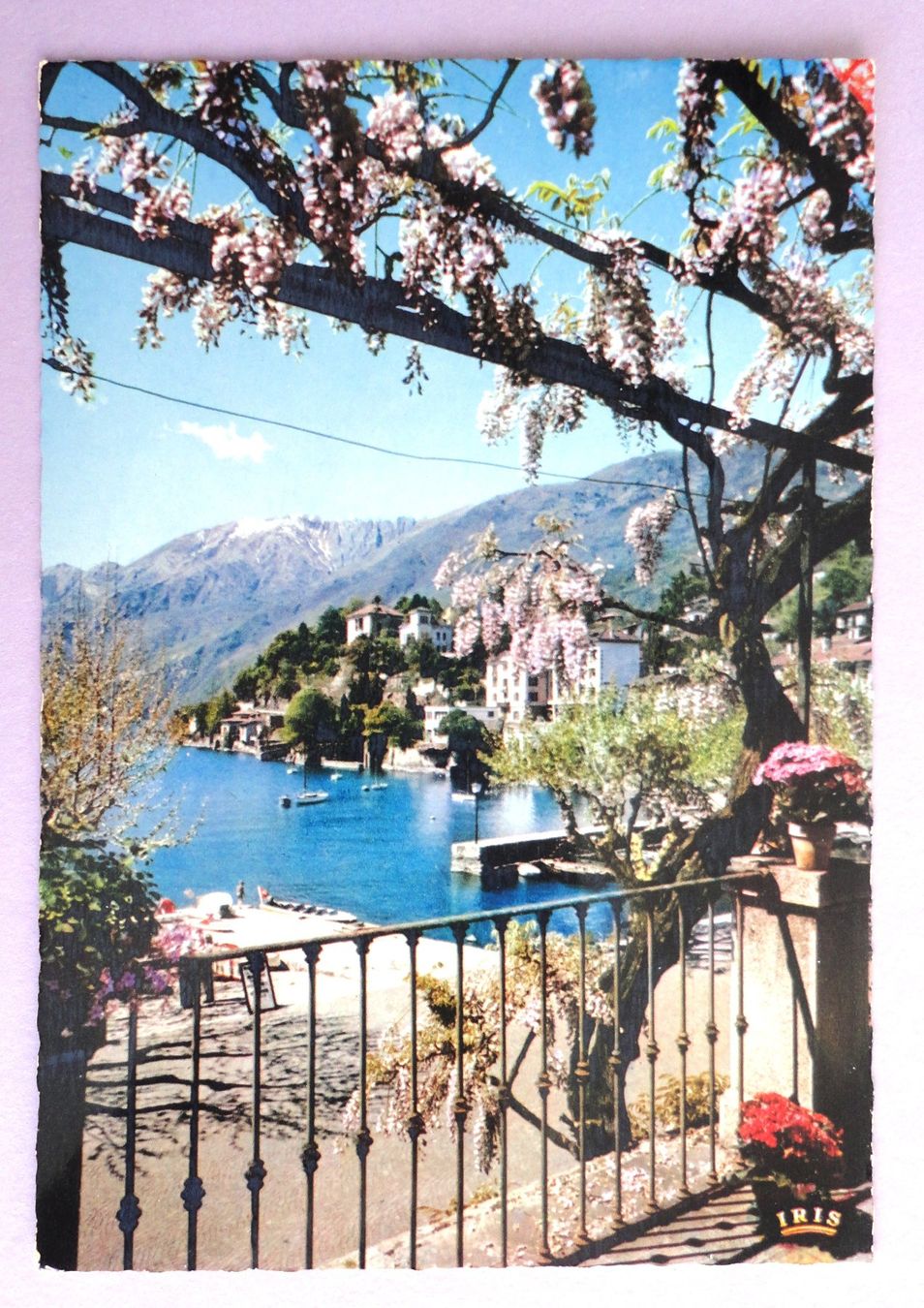 Ansichtskarten: Ascona - Collina S. Michele – Gebraucht aus Fétigny von Billy2miny