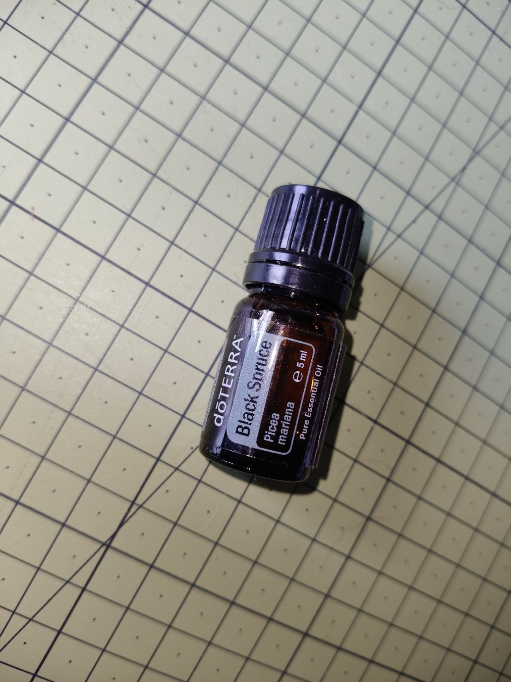 Doterra Ätherische Öle: DoTerra Black Spruce 5ml -Neu, – Neu und originalverpackt aus Flumserberg Bergh von tamaramullis