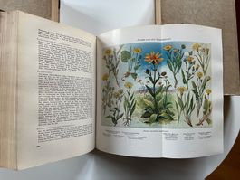 Lehrbuch der biologischen Heilmittel 3 Bände 1938