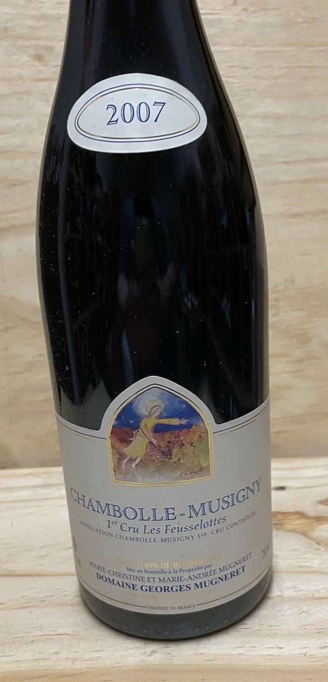 Vino: Starkes Burgunder Six-Pack – Nuovo (secondo la descrizione) da Biel-Bienne venduto da Hoko1 1