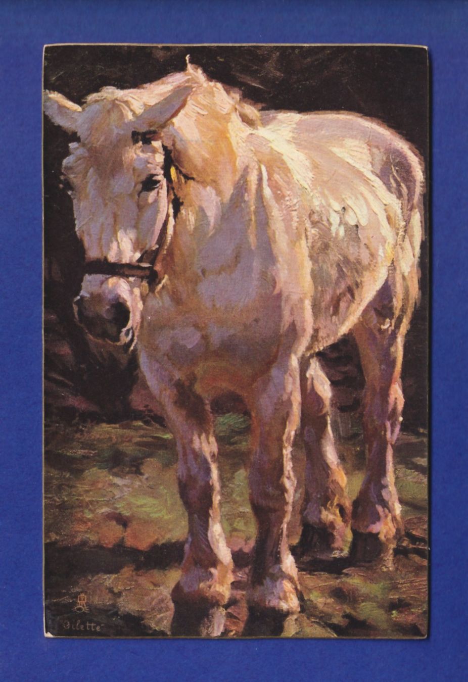 Cartoline postali: CHEVAL / PFERD – Usato da Pully venduto da nicecards-shop