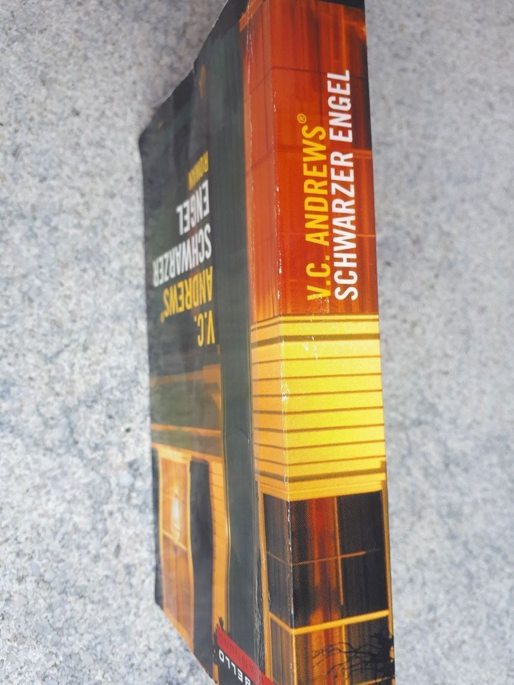 Libri: V.C. Andrews Schwarzer Engel – Usato da Basel venduto da Alacant 2