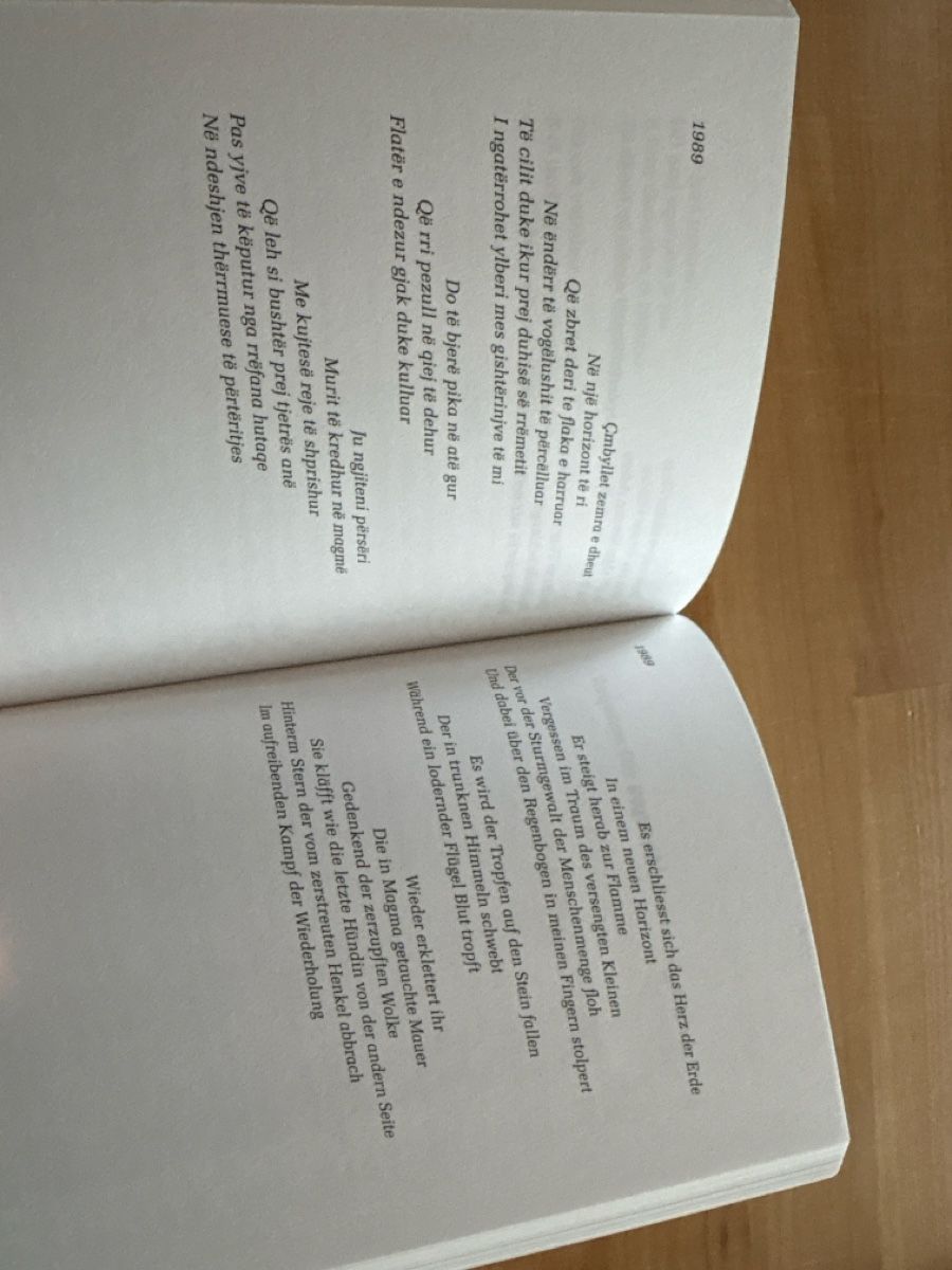 Libri: Buch mit Albanisch und Deutsch / Gedichte – Usato da Rümlang venduto da euqinom16 4