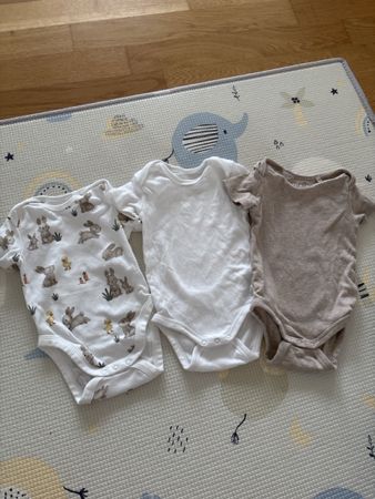 3 bodys Grösse 62/68