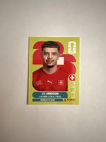 Zeki Amdouni Panini WM 2026