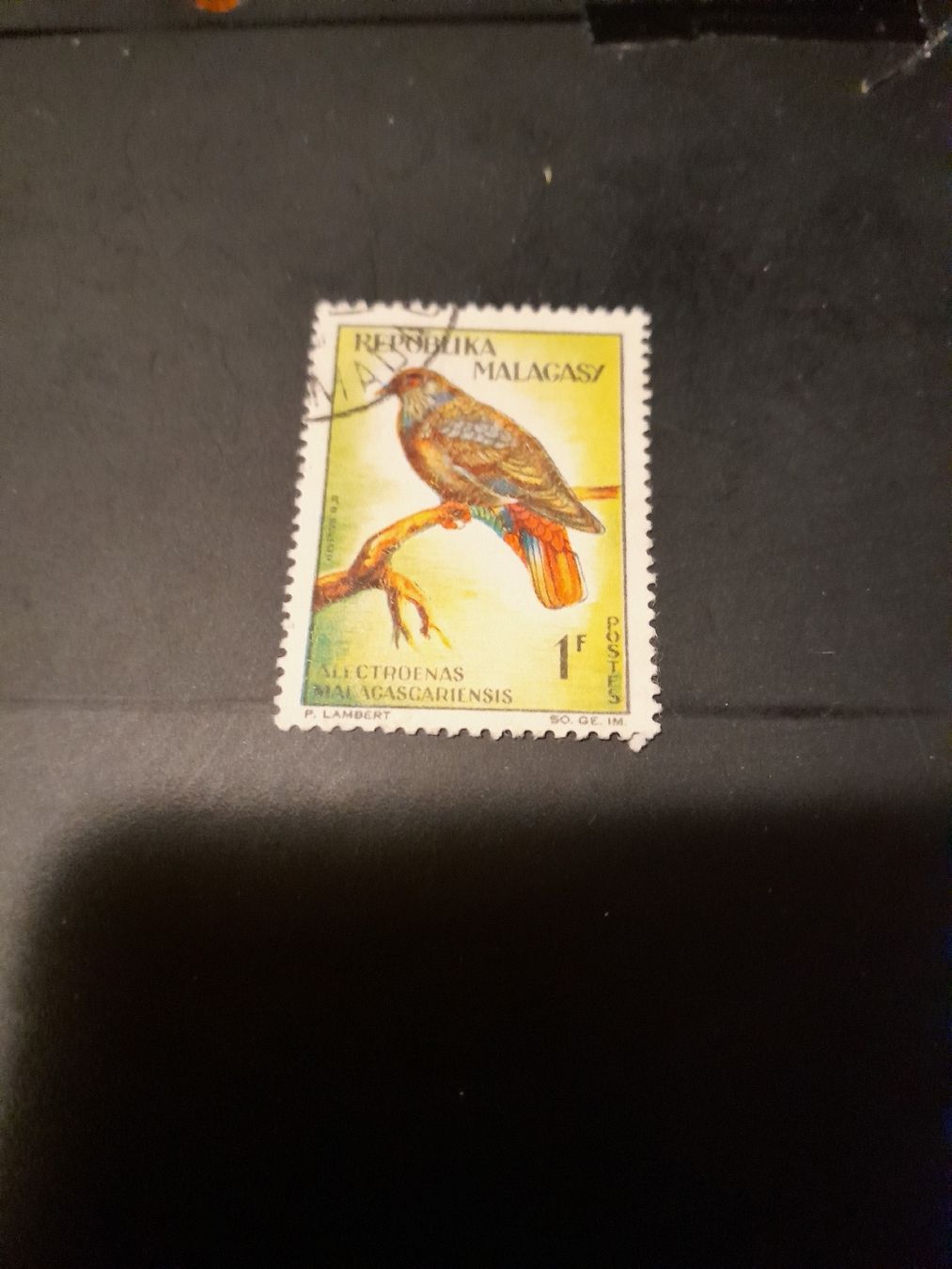 Tutti i francobolli: Timbre rare Madagascar - Oiseau perché sur branche! – Usato da Marly venduto da globetrotter1723