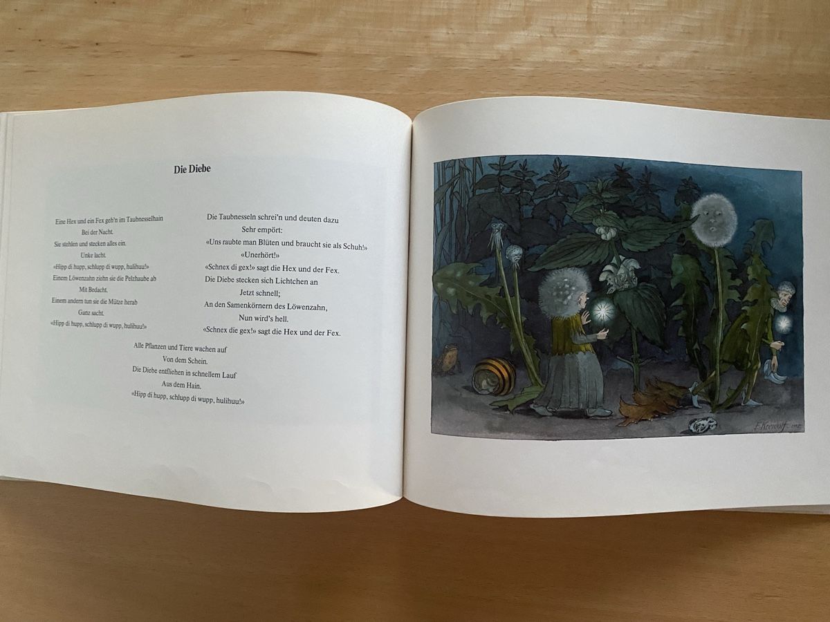 Libri: Blumen-Märchen - Ernst Kreidolf – Usato da Schwarzenburg venduto da Michellu 7