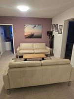 2er und 3er Leder Sofa