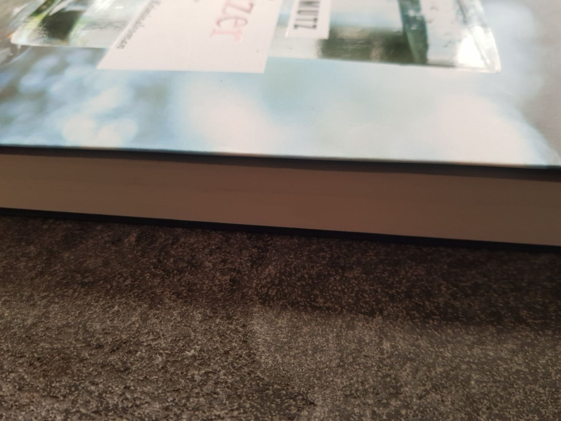 Bücher: Schweizer Wasser / Bernhard Schmutz / Kriminalroman Schweiz – Gebraucht aus Dietikon von marconi07 2