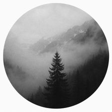Profile image of alpine.fieldnotes