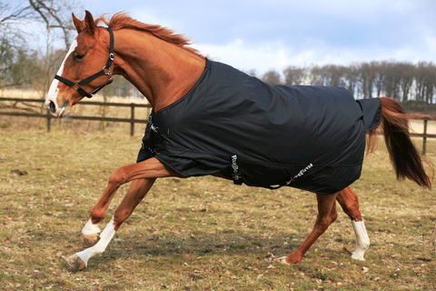 Coperte: Pferde-Winterdecke IceProtect 600 Denier Gr. 145cm – Nuovo e nell'imballaggio originale da St. Gallen venduto da schnaeppchen-preise 2