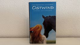 Ostwind Rückkehr nach Kaltenbach