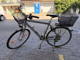 Fahrrad Velo Herren