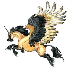 Profile image of netolk