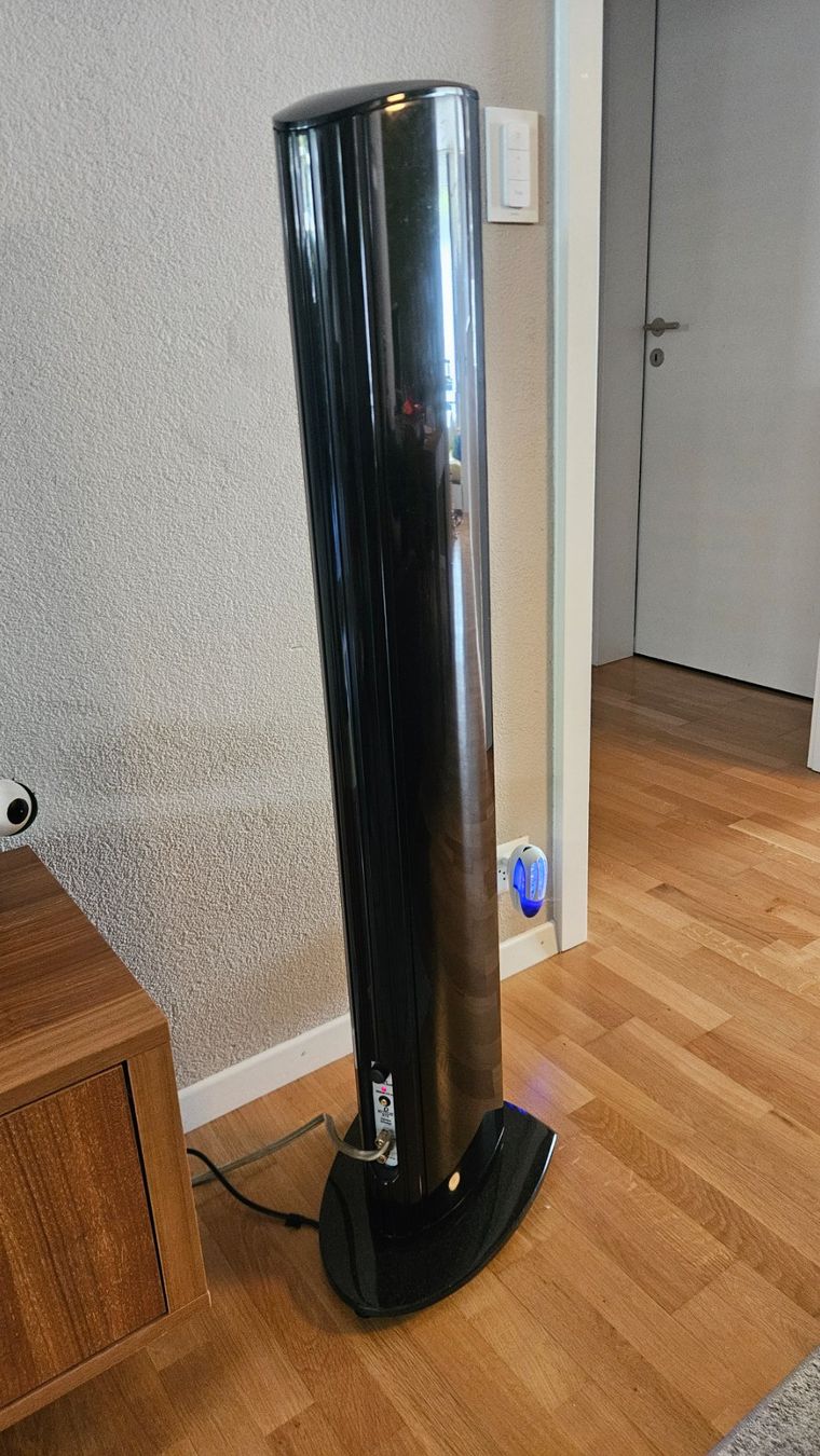 Casse acustiche: Definitive Technology Mythos STS Standlautsprecher – Usato da Zürich venduto da yerzy 2