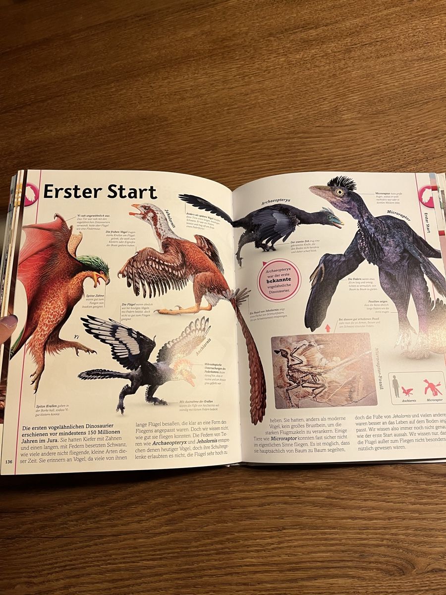 Libri: Dinosaurier buch – Nuovo (secondo la descrizione) da Uebeschi venduto da lee-elle 2