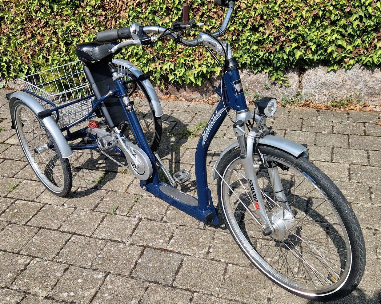 Veicoli elettrici: Elektro 3 Rad Velo – Usato da Seengen venduto da Pfoesu07 9