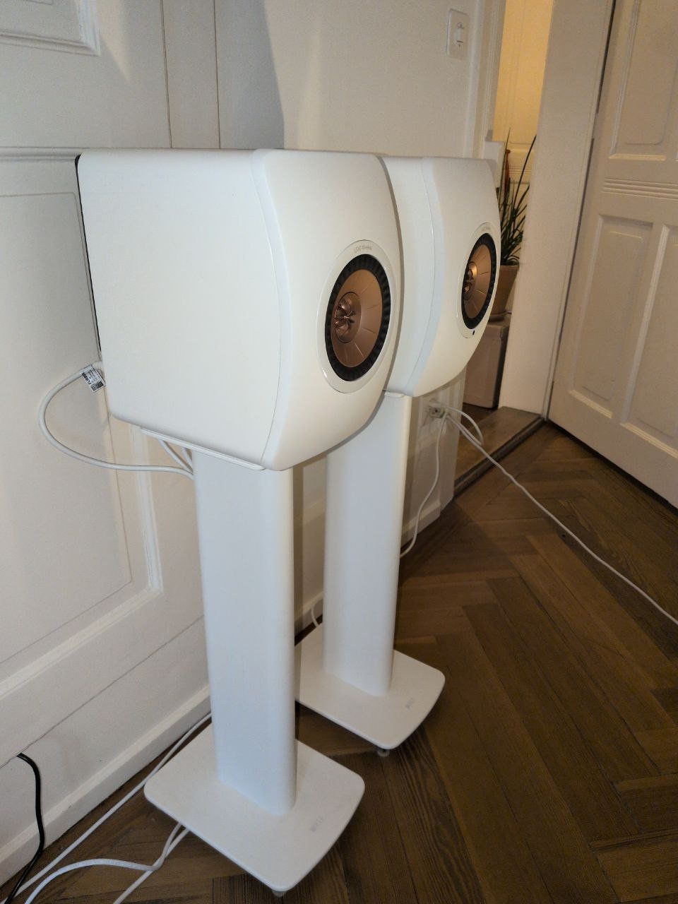 Kef Casse acustiche: KEF LS50 LS 50 Wireless inkl. KEF Performance Stand weiss – Usato da Bern venduto da archer.hostettler 2