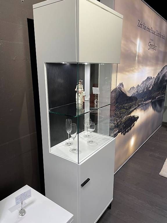 Vetrine: RMW Lavita Vitrine – Usato da Volketswil venduto da wirzwohnen 3