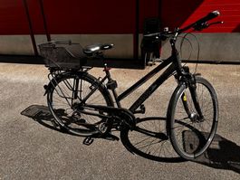 Vélo Pegasus Solero SL trekking bike 28''-Shimano 24 speed