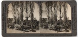 Stereo-Fotografie Keystone View Co., Mea