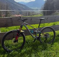 CUBE STEREO ONE44 C:62 RACE 29 – Gr. L – Sehr guter Zustand