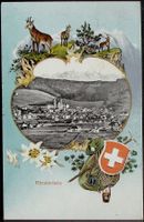 Bergsteiger-AK EINSIEDELN