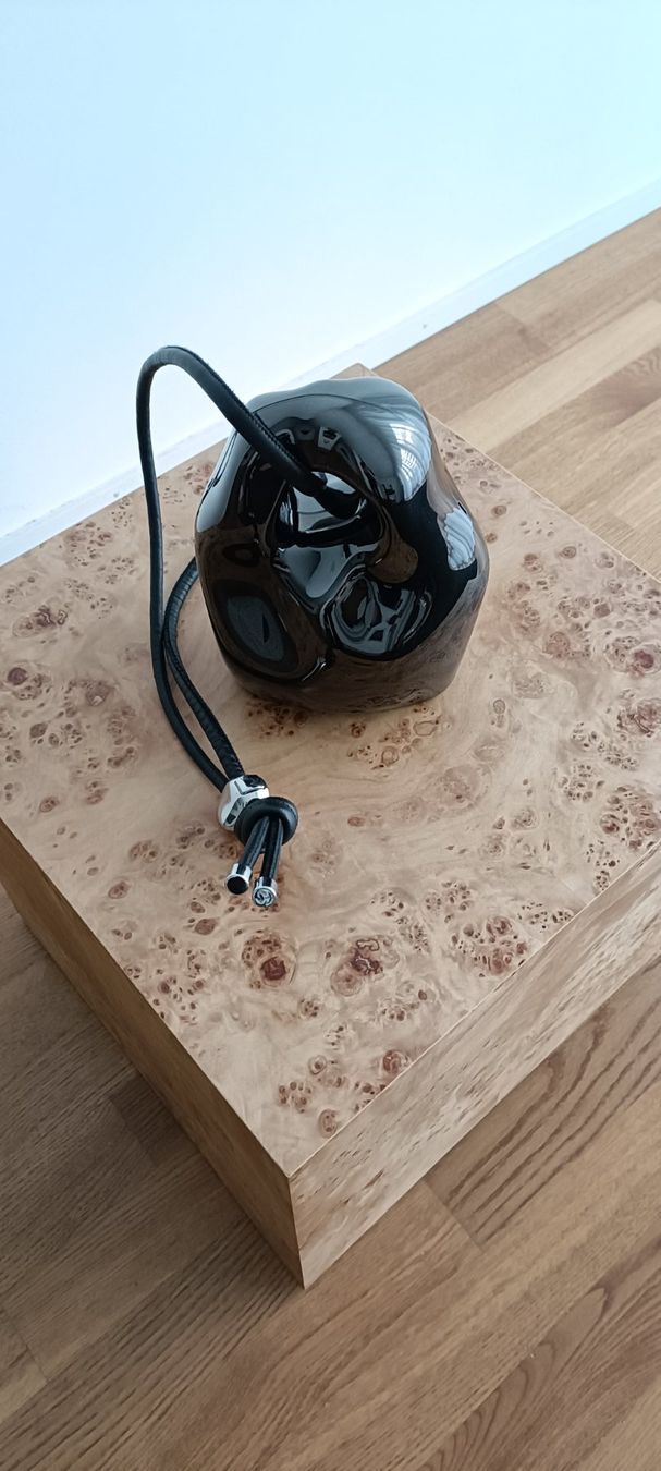 Borse da donna: Published By | RUBY'S LOST STONE Cross-Body Bag in Metall – Usato da Zürich venduto da mnlckl 2
